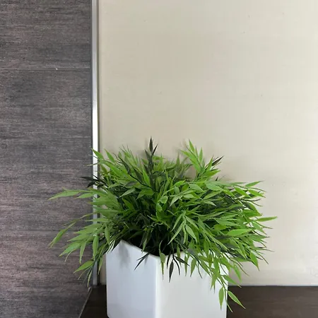 Wohnraum Gaeste- & Boardinghaus Szálloda Gusterath