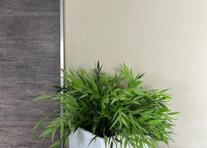 Wohnraum Gaeste- & Boardinghaus ホテル Gusterath