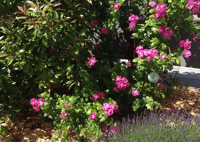 ホテル Wohnraum Gaeste- & Boardinghaus Gusterath